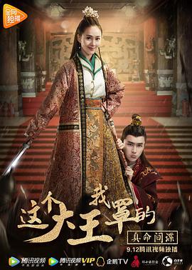 这个大王我罩的：真命间谍HD中字