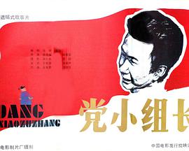 党小组长HD中字