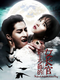 影王少帅的女长官HD