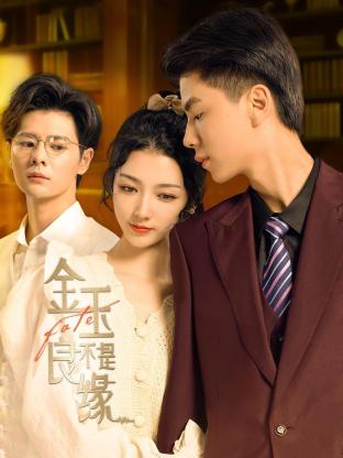 金玉不是良缘第03集