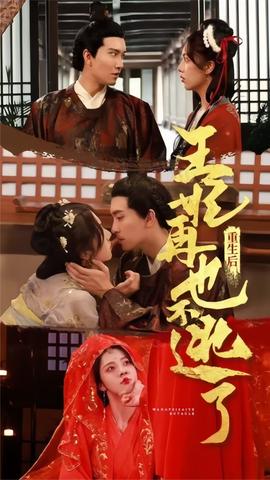 重生后王妃再也不逃了全集(大结局)