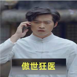 傲世狂医全集(大结局)