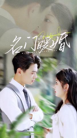 名门暖婚全集(大结局)