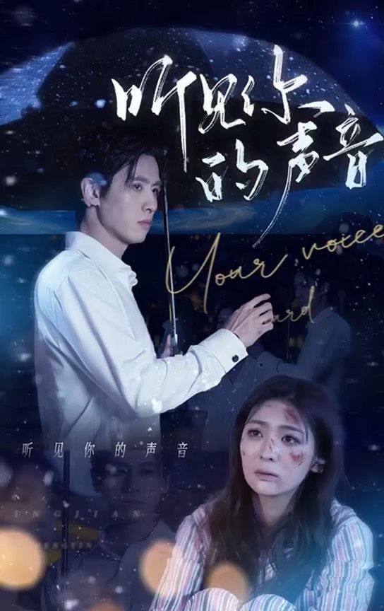 听见你的声音21-40集