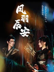 凤羽辰安全集(大结局)