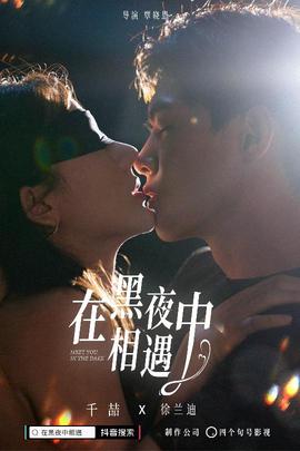 在黑夜中相遇全集(大结局)