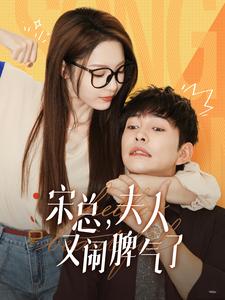 宋总，夫人又闹脾气了全集(大结局)