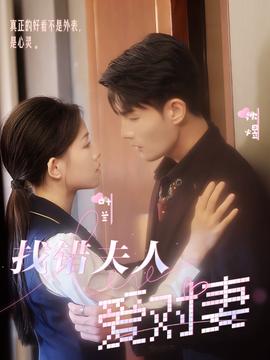 找错夫人爱对妻全集(大结局)