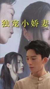 独宠小娇妻全集(大结局)