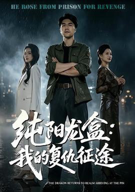 纯阳龙盒：我的复仇征途(全集)